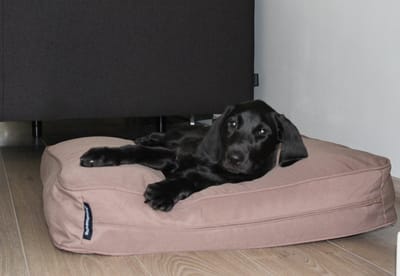 Dog's Companion Hondenkussen/ Benchkusse - Taupe - 68 x 62 x 10 cm