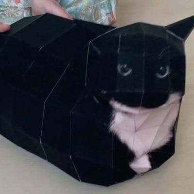 Oiiao Kat Huh Kat Papieren Model Kat Twijfel Kat 3D Vouwpapier Draaiende Kat Huisdecoratie Cadeau Moet Zelf Gevouwen Worden
