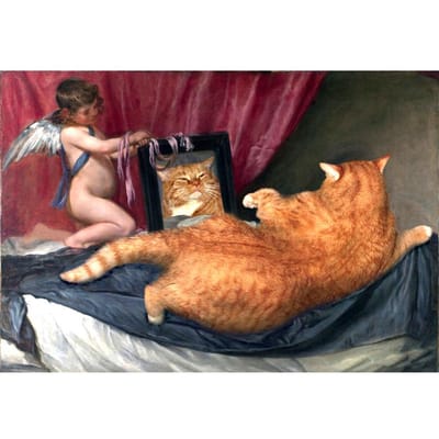 Cat Art Cartoon Fantasy 5D Diamond Painting Volledige ronde boor Woondecoratie 20X30CM black