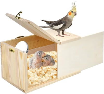 Nestkast voor Parkieten en Dwergpapegaaien - Natuurlijk Hout en Transparant Acryl