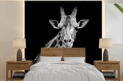 Behang - Fotobehang Giraffe - Wilde dieren - Zwart - Wit - Portret - Breedte 350 cm x hoogte 350 cm