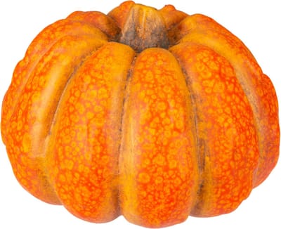 POMPOEN GRAINY ORANJE 11,6X11,5XH8,4