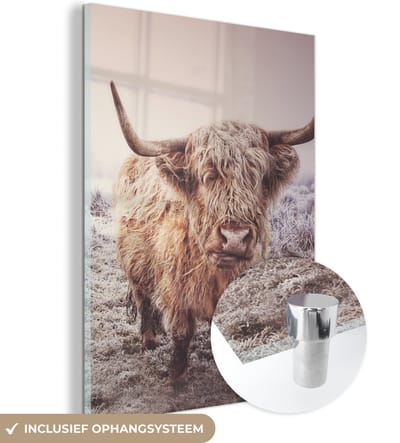 MuchoWow® Glasschilderij 120x160 cm - Schilderij acrylglas - Schotse Hooglanders - Sneeuw - Zon - Foto op glas - Schilderijen