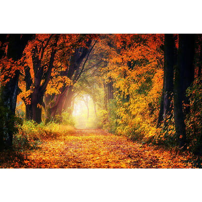 Perceuse ronde bricolage diamant peinture automne paysage point de croix paysage diamant broderie 20X30CM orange