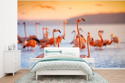 Behang - Fotobehang Flamingo - Dieren - Water - Roze - Breedte 295 cm x hoogte 220 cm