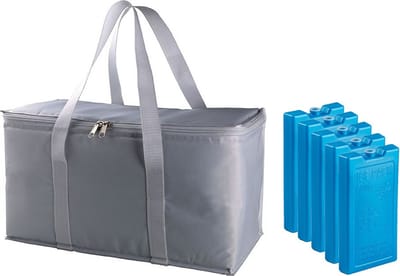 Grote isolatie koeltas zilver/grijs 39 x 22 x 19 cm met 5x stuks blauwe koelelementen