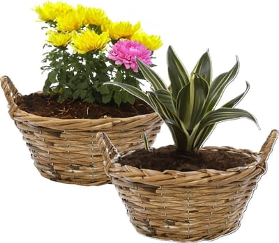 Mega Collections Planten/bloemen mand Cuba - 2x - rotan - bruin - D25 x H11 cm - pot voor buiten