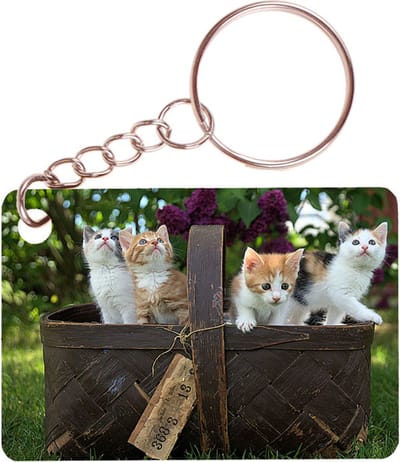 Sleutelhanger 6x4cm - Mand met Kittens
