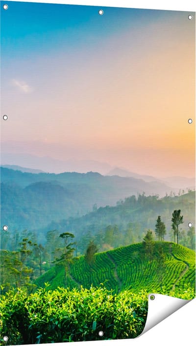 Gards Tuinposter Zonsondergang op een Thee Plantage - 80x120 cm - Tuindoek - Tuindecoratie - Wanddecoratie buiten - Tuinschilderij