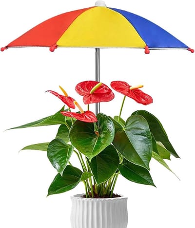 Plantenparasol - Kleine zonbescherming - Bescherming tegen zon - Verstelbare hoek - 35 x 27 cm - Diverse kleuren