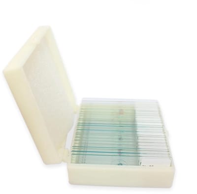 25 objectglaasjes met monsters, voorbereide objectglaasjes, voorbereide objectglaasjes voor microscopmonsters, voorbereide glazen objectglaasjes voor het biologisch wetenschappelijk laboratorium en de