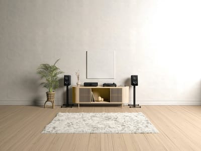 MAESTRO X - Smart All-In-One Receiver