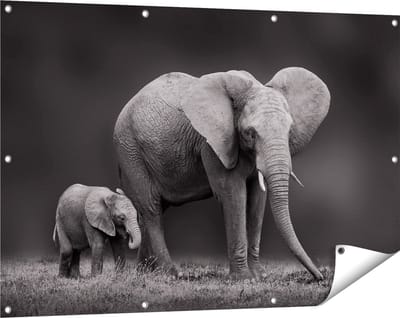 Gards Tuinposter Olifant Moeder en Zoon - Zwart Wit - 120x80 cm - Tuindoek - Tuindecoratie - Wanddecoratie buiten - Tuinschilderij