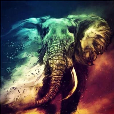 Diamond Painting Veelkleurige Olifant  50x50 Vierkante steentjes