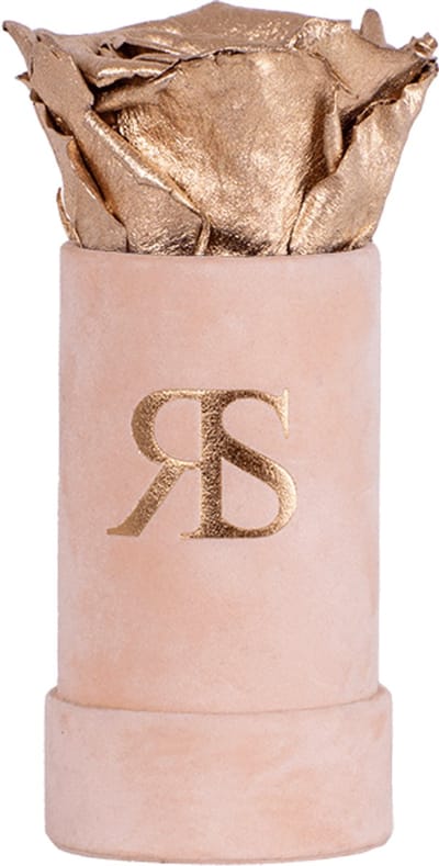 Flowerbox longlife Ivy Pure and divine goud - Rosuz - Echte roos met 3 jaar houdbaarheid - Luxe Valentijnscadeau voor Haar - Prachtig Verpakt als Klein Valentijnskadootje of Geschenk