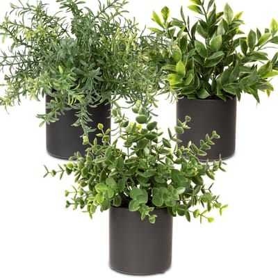 Dailygoods - Set van 3 Kunstplanten in Pot - Eucalyptus en Rozemarijn Decoratie