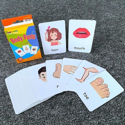 36 Stuks Leerkaarten Voor Kinderen Lichaamsdelen Dieren Fruit Dubbelzijdige Flashcards Montessori Kind Kinderen Vroege Speelgoed Premium Kwaliteit