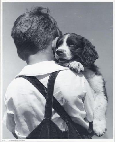 Mini zwart-wit poster - Puppy Love - H. Armstrong Roberts - 24x30 cm