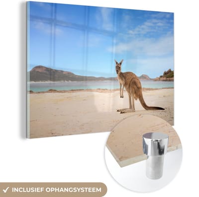 MuchoWow® Glasschilderij 120x80 cm - Schilderij acrylglas - Strand - Kangoeroe - Australië - Foto op glas - Muurdecoratie woonkamer - Wanddecoratie slaapkamer - Schilderijen