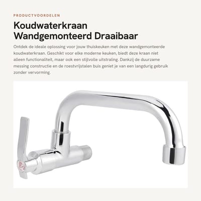 Dailygoods- Wastafelwaterkraan Koudwater - Wandgemonteerd - Draaibaar - 360 Graden Rotatie - Messing/Roestvrij Staal - Eenvoudig te Installeren - Keukenkranen
