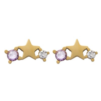 Essenza Purple Stone Star Earrings Gold