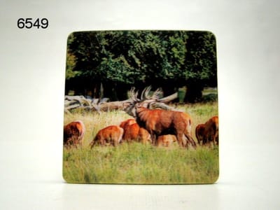 3D Onderzetter - Edelhert - 8,5 x 8,5 cm - Diepte Effect - Per Stuk