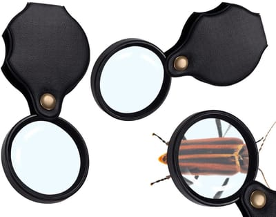 Dailygoods - Zakloep - Vergrootglas 10x - Inklapbaar en handzaam - Zwart - Leeshulp voor slechtzienden - Ideaal voor senioren - Kinderleesapparaat