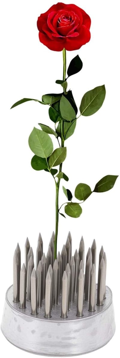 Dailygoods- Bloemenkikker Roestvrij Staal - Kikker met Speld - 23 mm - Bloemenstandaard - Bloemstukken - Tafelopzetstukken - Duurzaam Ontwerp - Bloemschikmateriaal