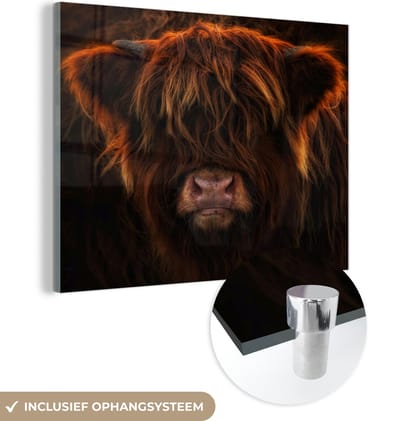 MuchoWow® Glasschilderij 120x90 cm - Schilderij acrylglas - Schotse Hooglander - Koe - Zwart - Portret - Foto op glas - Schilderijen