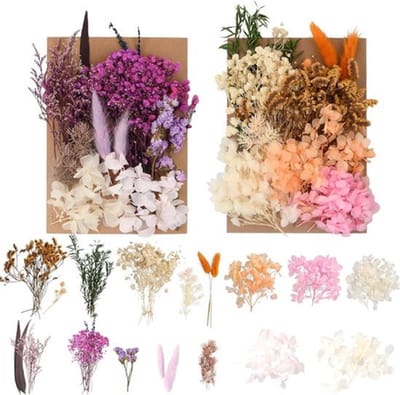 Allecto Plus - Natuurlijke gedroogde bloemen voor hars, scrapbooking en decoratie - 2 verpakkingen