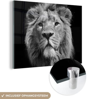 MuchoWow® Glasschilderij 160x120 cm - Schilderij acrylglas - Leeuw - Portret - Zwart - Wit - Foto op glas - Schilderijen