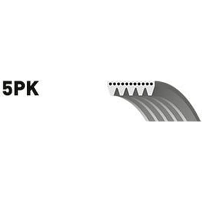 V-riem Micro-V GATES 5PK963