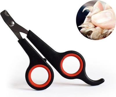 Knaak Nagelknipper - Nagelschaar voor Dieren - Nagelschaartje - RVS - Anti-slip - 12 cm - Zwart