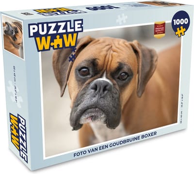 Puzzel Foto van een goudbruine Boxer - Legpuzzel - Puzzel 1000 stukjes volwassenen