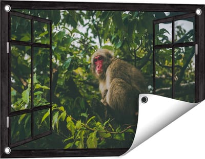 Gards Tuinposter Doorkijk Aap in de Boom tussen de Bladeren - 60x40 cm - Tuindoek - Tuindecoratie - Wanddecoratie buiten - Tuinschilderij