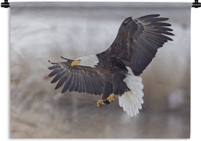 Wandkleed Amerikaanse zeearend - Een Amerikaanse zeearend met gespreide vleugels Wandkleed katoen 60x45 cm - Wandtapijt met foto