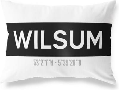 Tuinkussen WILSUM - OVERIJSSEL met coördinaten - Buitenkussen - Bootkussen - Weerbestendig - Jouw Plaats - Studio216 - Modern - Zwart-Wit - 50x30cm