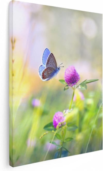 Artaza Canvas Schilderij Klaverbloem - 30x40 cm - Klein - Wanddecoratie Vlinder - Muurdecoratie Natuur - Schilderijen Op Canvas