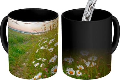 Magische Mok - Foto op Warmte Mokken - Koffiemok - Bloemen - Madelief - Natuur - Zon - Horizon - Magic Mok - Beker - 350 ML - Theemok