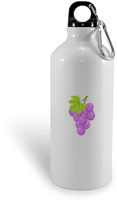 Hacebo® - Druiven waterfles - Fruitschaal - Fruit liefhebbers - Trosvruchten - blauwe druiven - gezond eten - water fles - 400ML