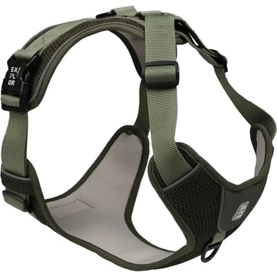 Mode hondenriem Duvoplus Ultimate Fit On-The-Road