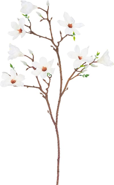 Easyplants | Kunsttak Magnolia kleinbloemig 89 cm wit | Zijde | Nepbloemen | wit | Onderhoudsvrij | Kant-en-klaar
