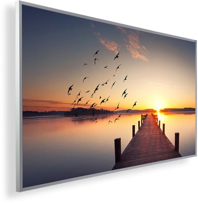 Infrarood Verwarmingspaneel 450W met fotomotief en Smart Thermostaat (5 jaar Garantie) - Steg Vogels