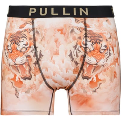 Pullin  Boxers FASHION 2