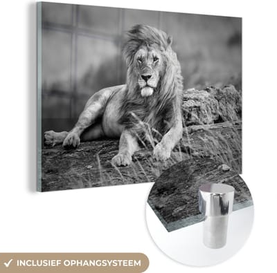 MuchoWow® Glasschilderij 60x40 cm - Schilderij acrylglas - Leeuwen - Wild - Zwart - Wit - Foto op glas - Schilderijen
