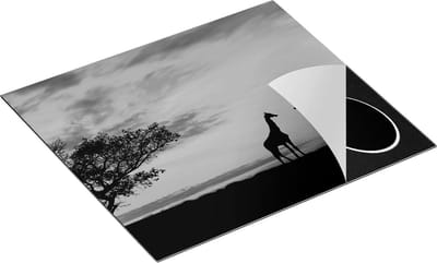 Chefcare Inductie Beschermer Twee Giraffe Silhouetten bij Zonsondergang - Zwart Wit - 60x50 cm - Afdekplaat Inductie - Kookplaat Beschermer - Inductie Mat