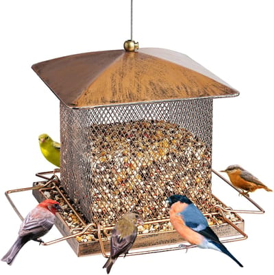 Voederhuisje voor vogels - Zware metalen voederhuisje - Om buiten op te hangen - Grote capaciteit van 1,6 kg - Voederhuisje voor wilde vogels - Voor / Tuin / Tuin / Buiten / Achtertuin
