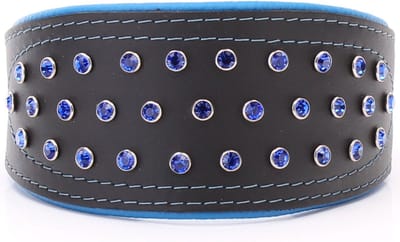 Dog's Companion - Leren halsband greyhound kristallen - Lengte: 50cm (41-48cmx70 mm), Kleur: Blauw