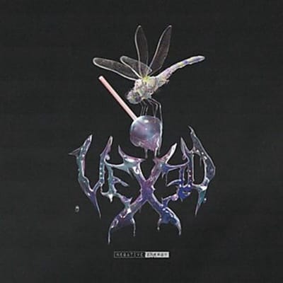 Vexed - Negative Energy (CD)