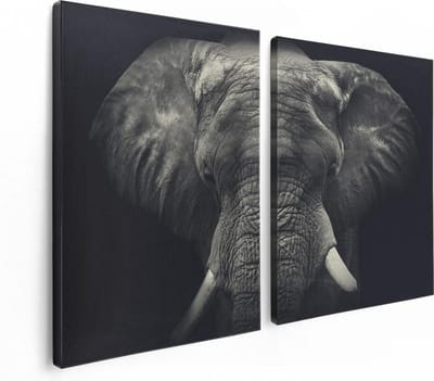 Artaza Canvas Schilderij Tweeluik Olifantenkop - Olifant - Zwart Wit - 120x80 - Foto Op Canvas - Canvas Print